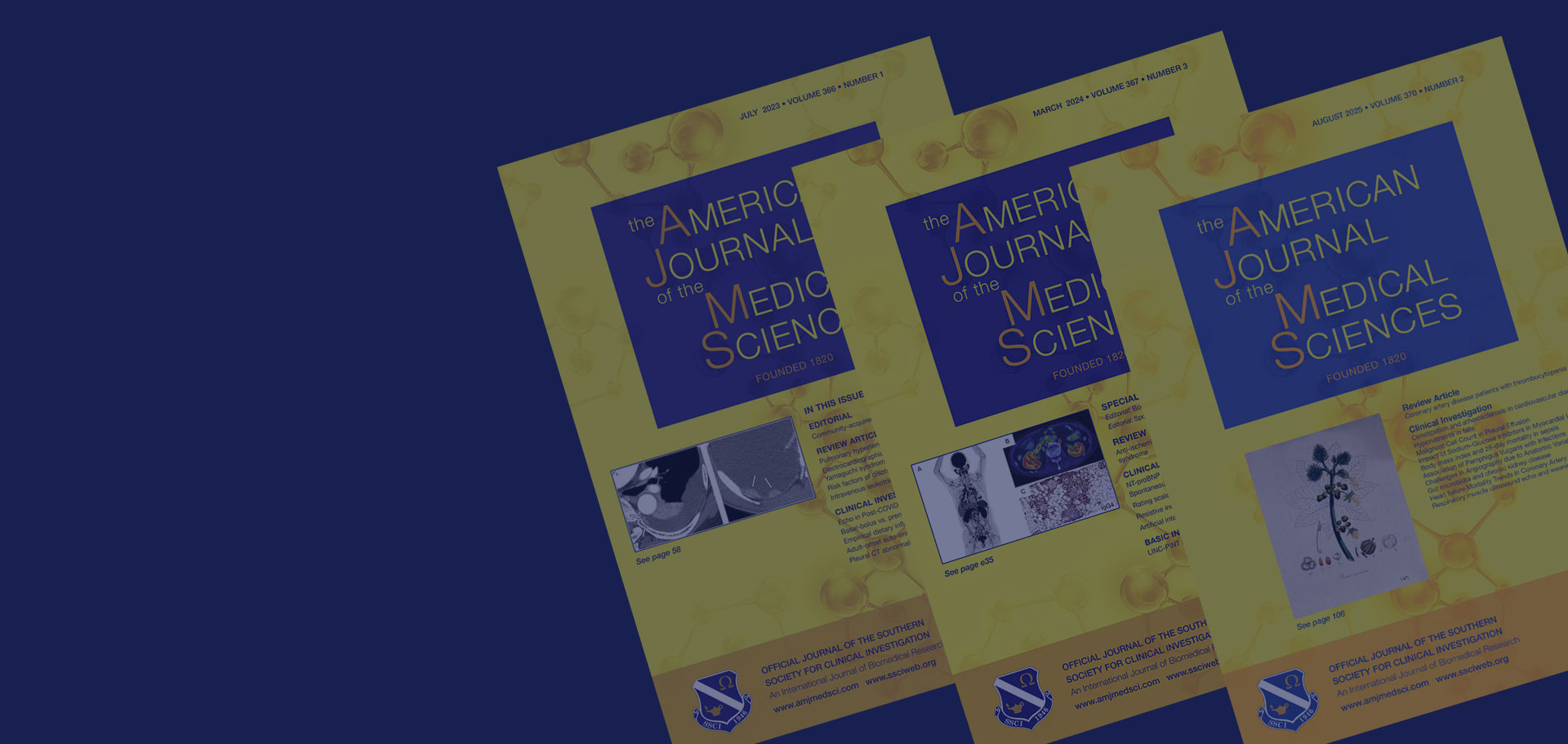 Image for AJMS